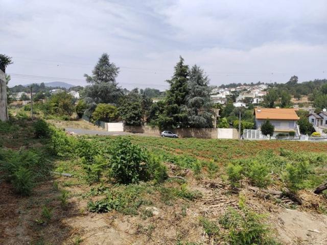 Terreno, Serzedelo