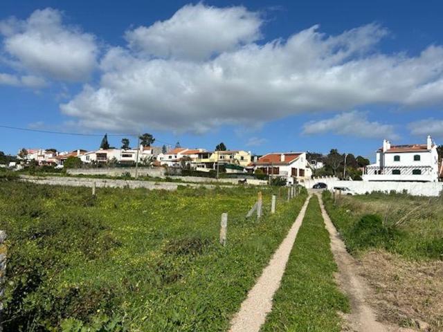 Terreno, Setúbal