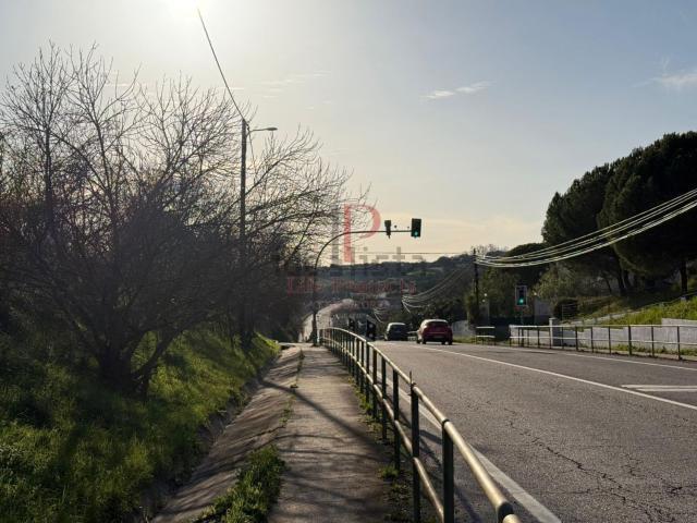 Terreno, Setúbal