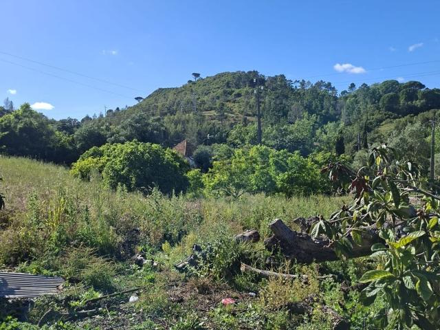 Terreno, Setúbal