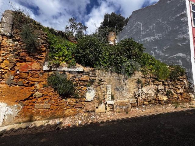 Terreno, Setúbal