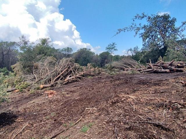 Terreno, Seva