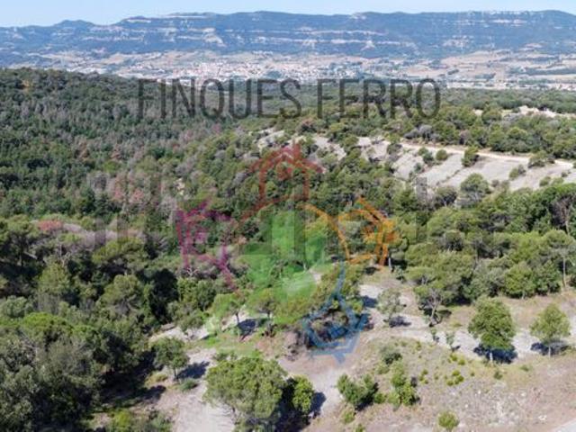 Terreno, Seva