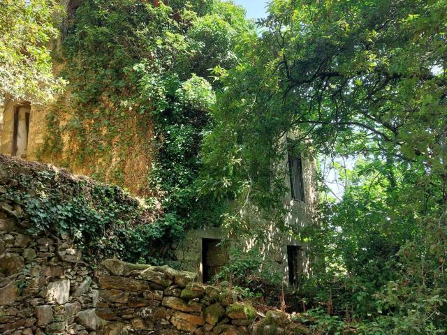 Terreno, Sever do Vouga