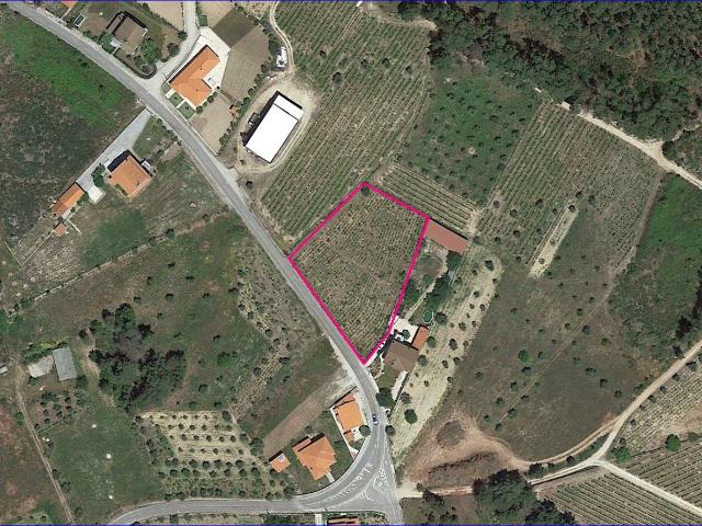 Terreno, Sezures, Penalva do Castelo | BPI Expresso Imobiliário