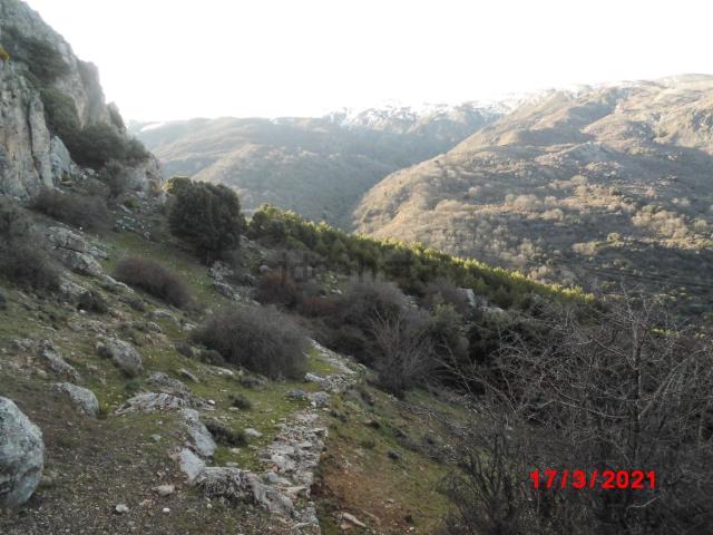 Terreno, Sierra Nevada