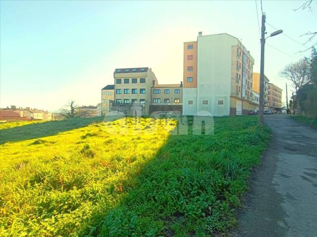 Terreno, Silleda