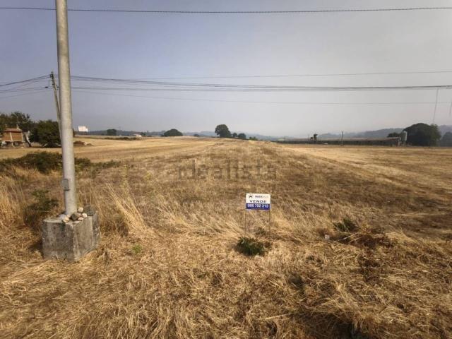 Terreno, Silleda