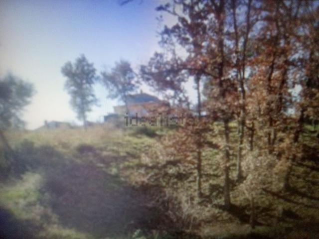 Terreno, Sils
