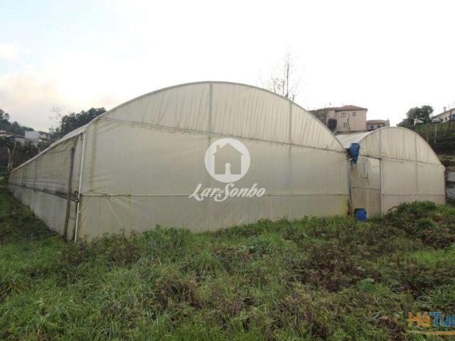 Terreno Silvares S. Martinho Fafe | 26083710131