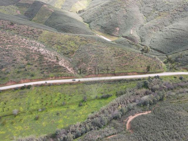 Terreno, Silves
