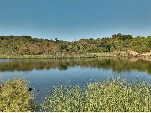 Terreno, Silves