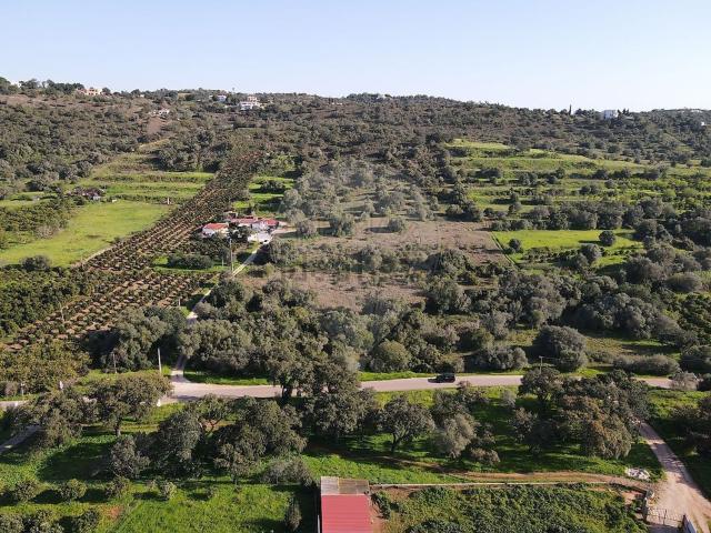 Terreno, Silves