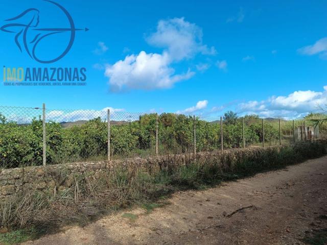 Terreno, Silves