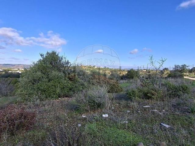 Terreno, Silves
