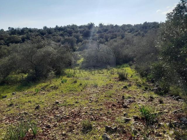 Terreno, Silves