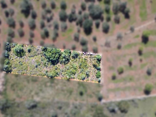 Terreno, Silves