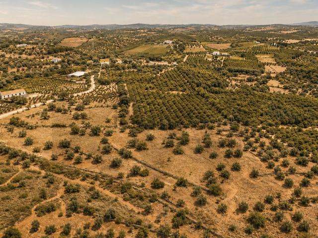 Terreno, Silves