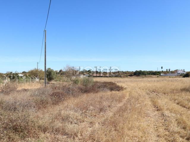 Terreno, Silves