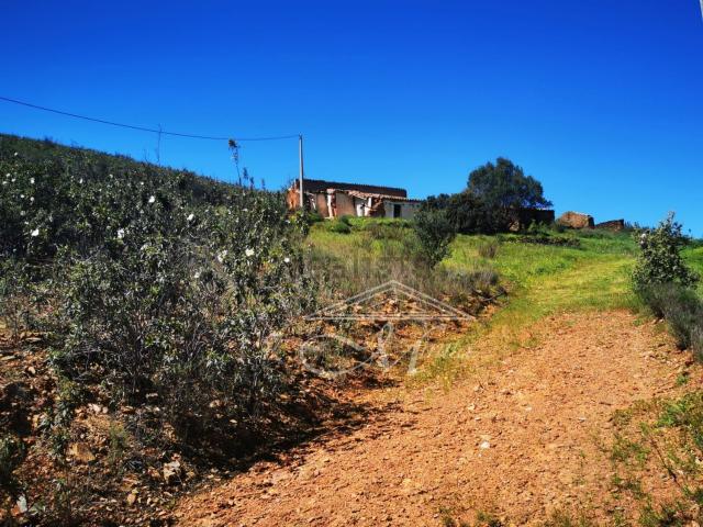 Terreno, Silves