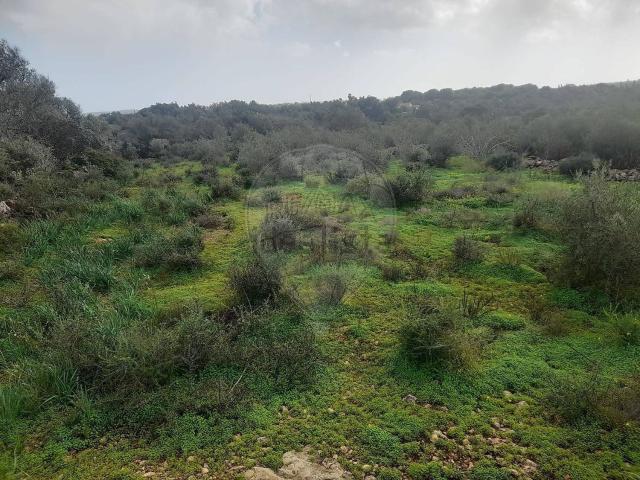 Terreno, Silves