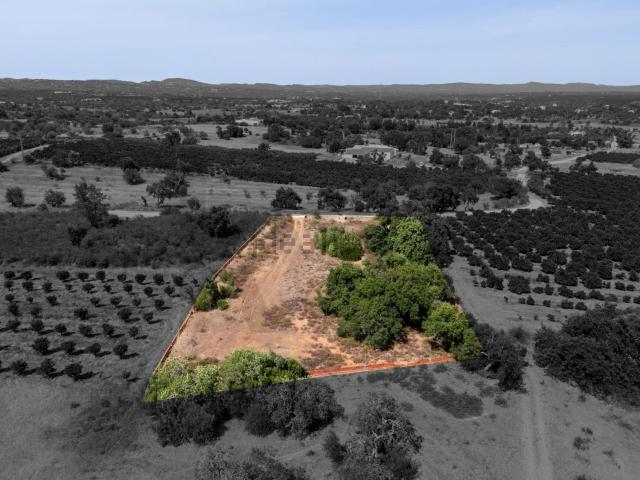 Terreno, Silves