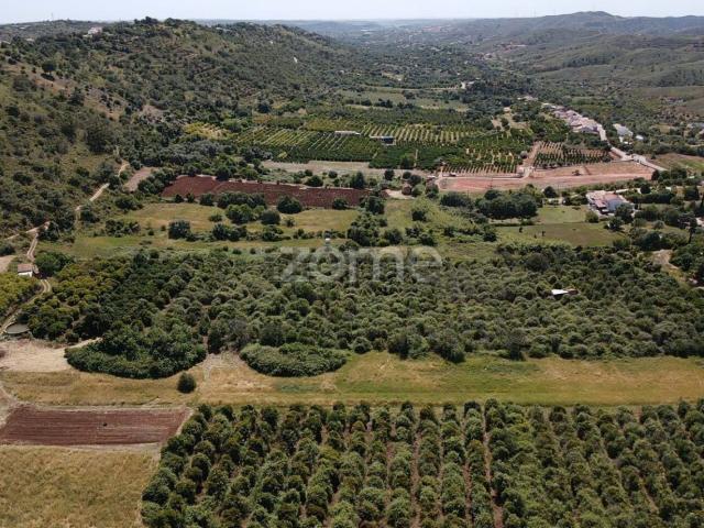 Terreno, Silves