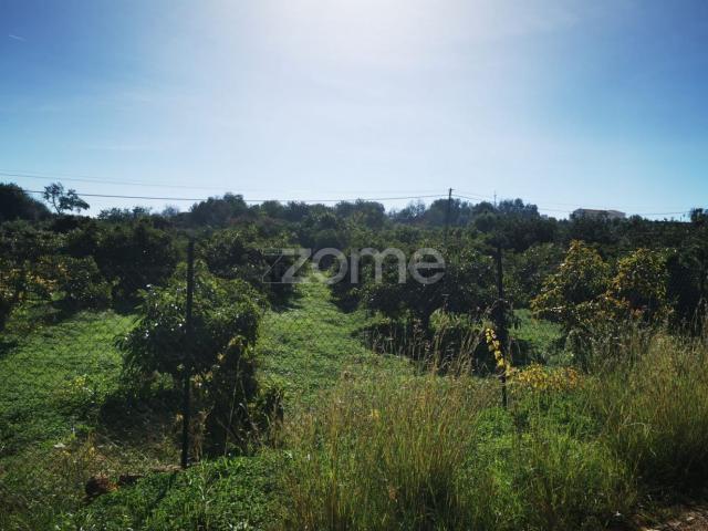 Terreno, Silves