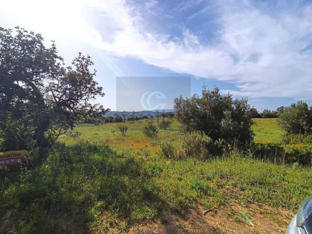 Terreno, Silves