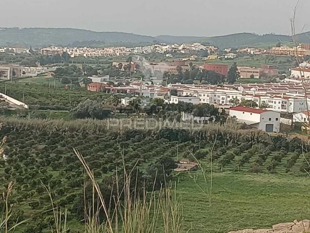 Terreno, Silves