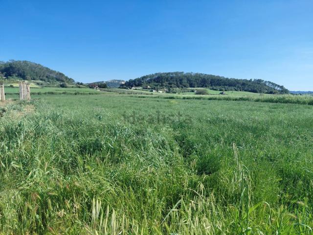 Terreno, Sineu