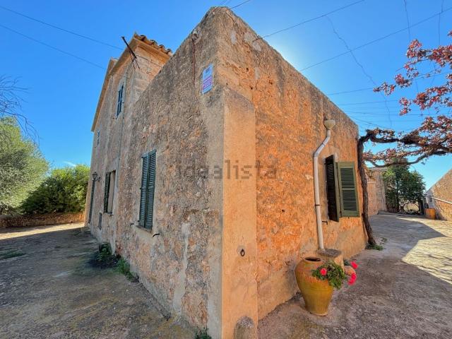 Terreno, Sineu