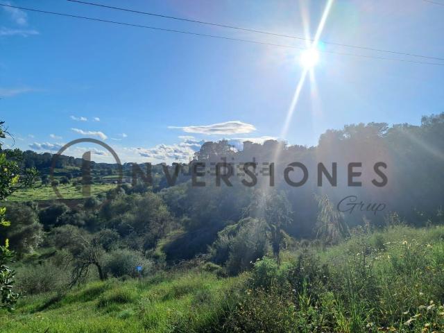 Terreno, Sineu
