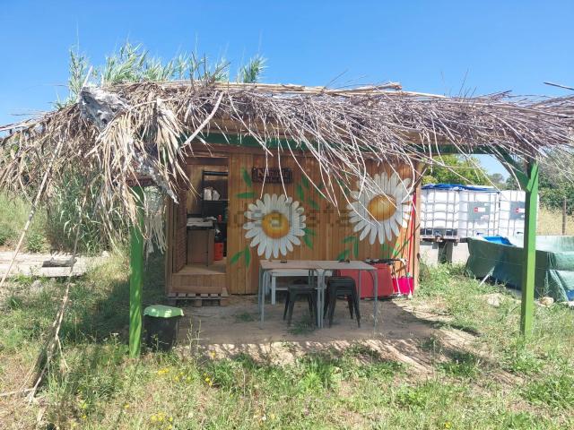 Terreno, Sineu