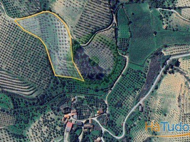 Terreno situado em Brunhais | 26083920982