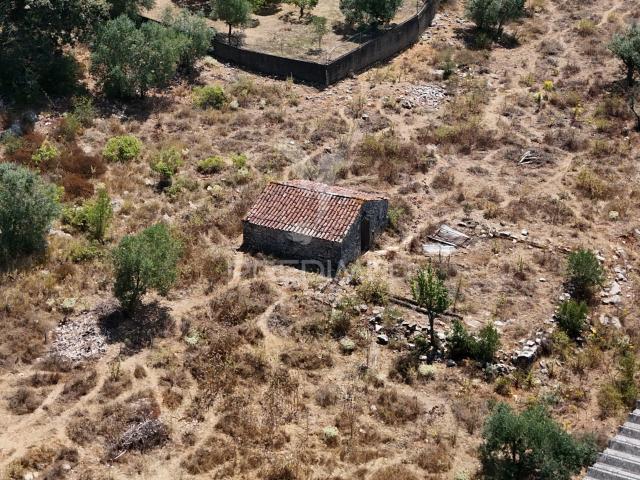 Terreno situado em Porto de Mós