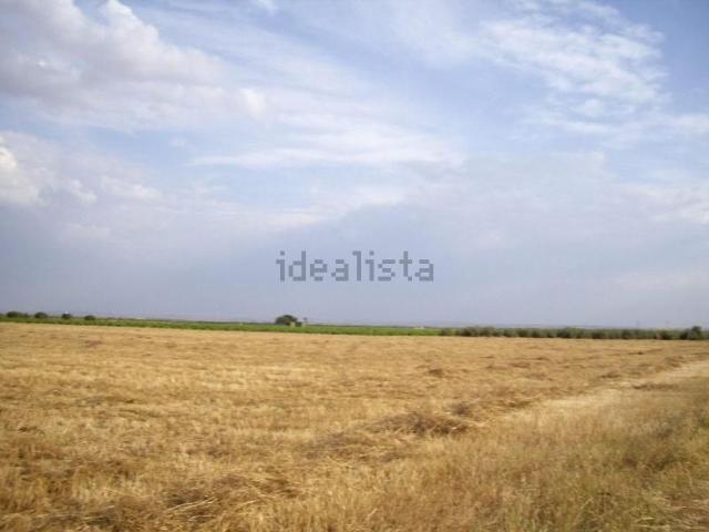 Terreno, Socuéllamos