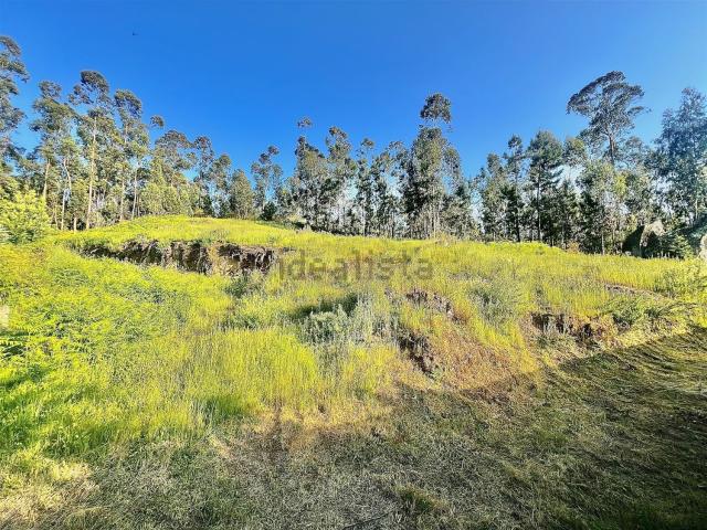 Terreno, Sobrado