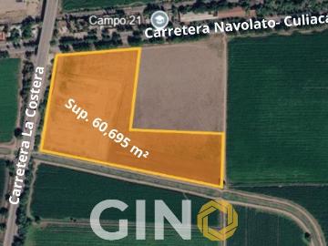 Terreno sobre carretera Culiac?n Navolato
