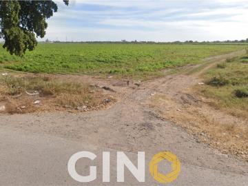 Terreno sobre carretera Culiac?n Navolato