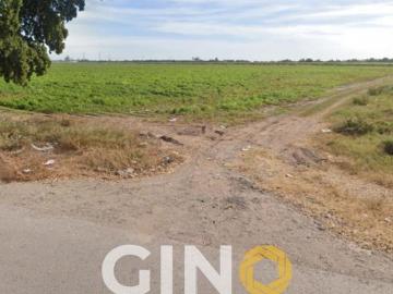 Terreno sobre carretera Culiacán Navolato