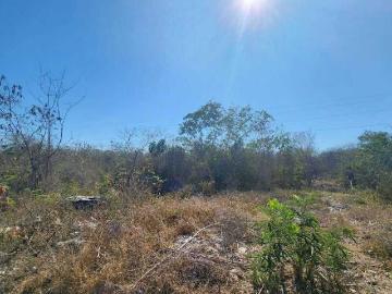 Terreno sobre carretera progreso a merida