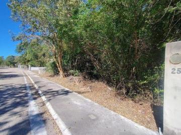 Terreno sobre la avenida la Rejoyada