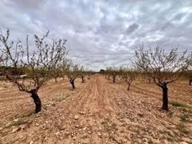 Terreno / Solar Murcia, España