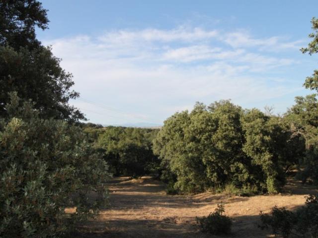 Terreno / Solar Madrid, Comunidad de Madrid