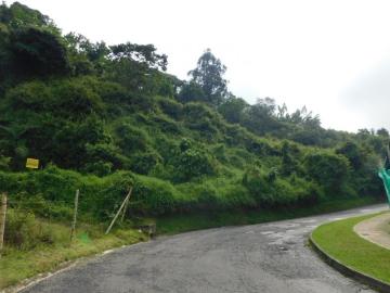 Terreno / Solar Manizales, Departamento de Caldas