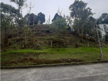 Terreno / Solar Manizales, Departamento de Caldas