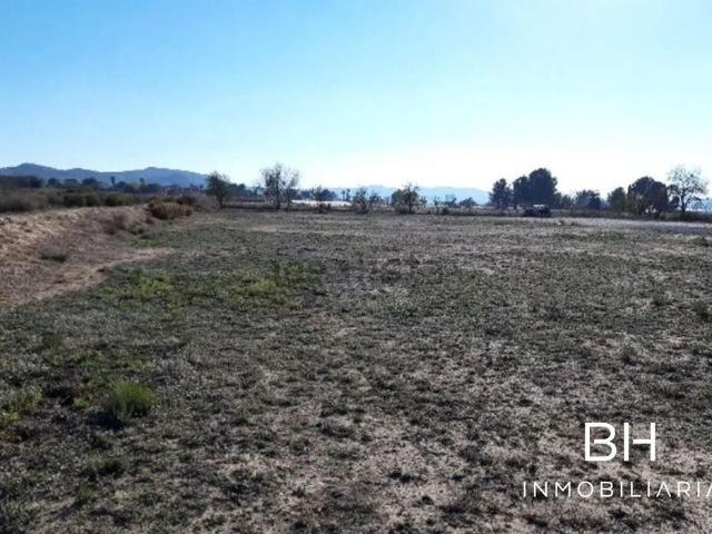 Terreno / Solar Monforte del Cid, España