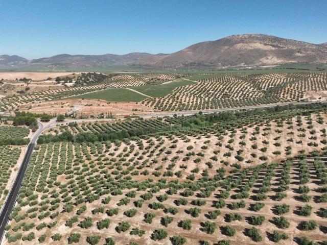 Terreno / Solar Albolote, Andalucía