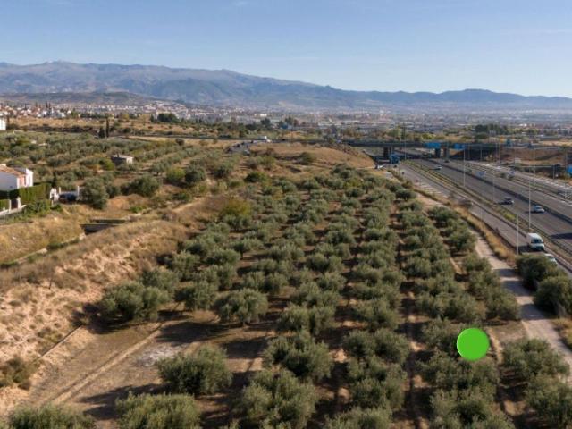Terreno / Solar Albolote, España
